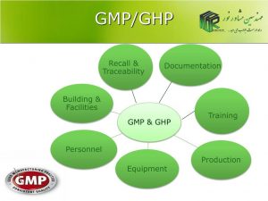 GMP training